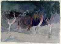 Olivenhain, St. Rémy